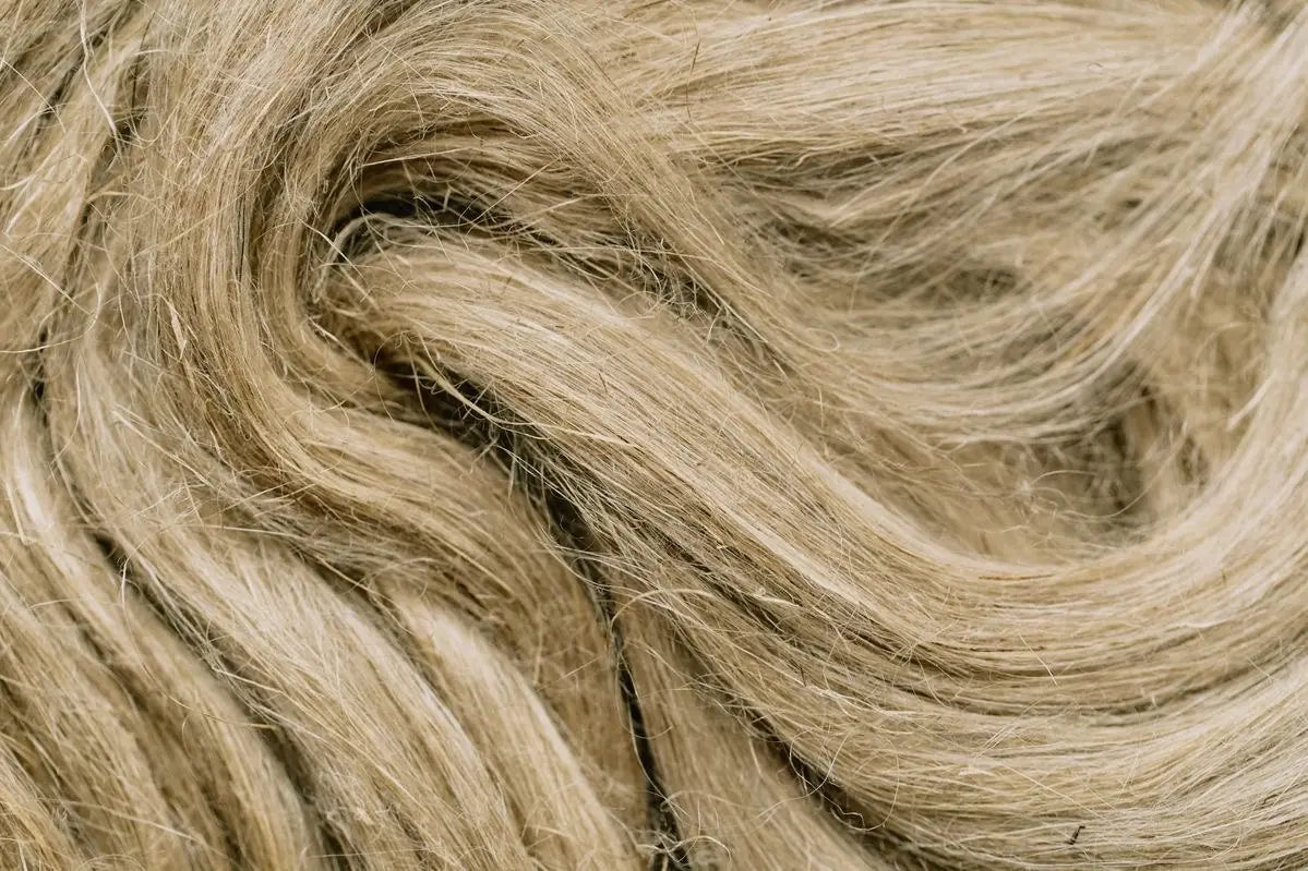 Close study of textile texture